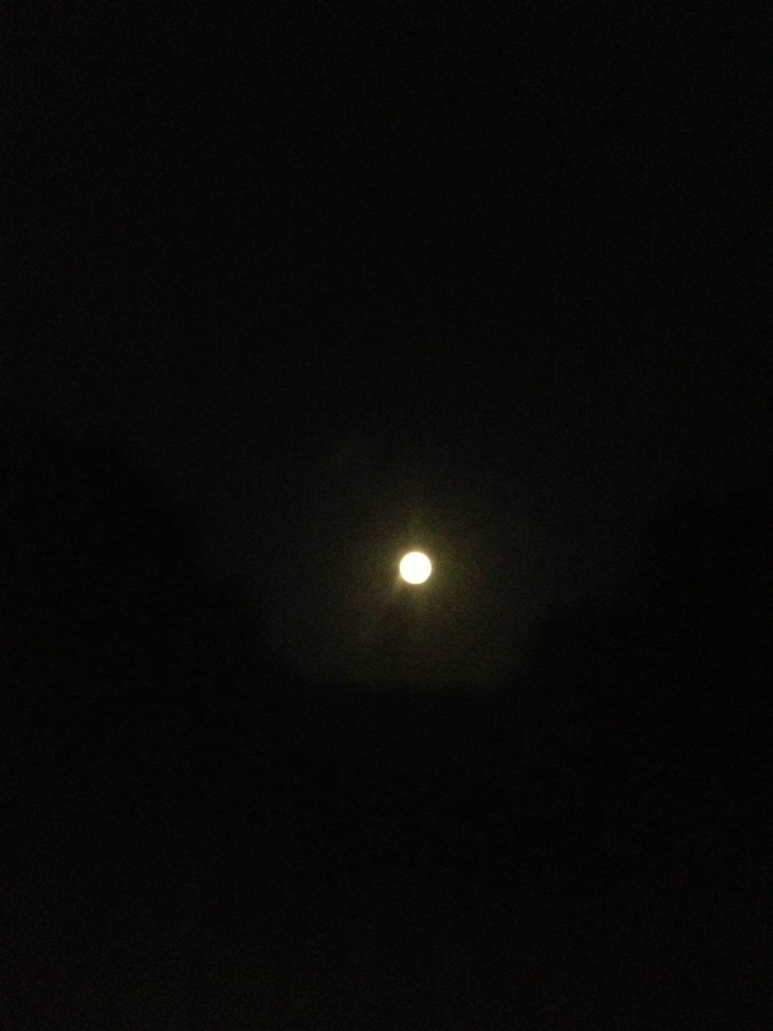 Full Moon During Deer Season